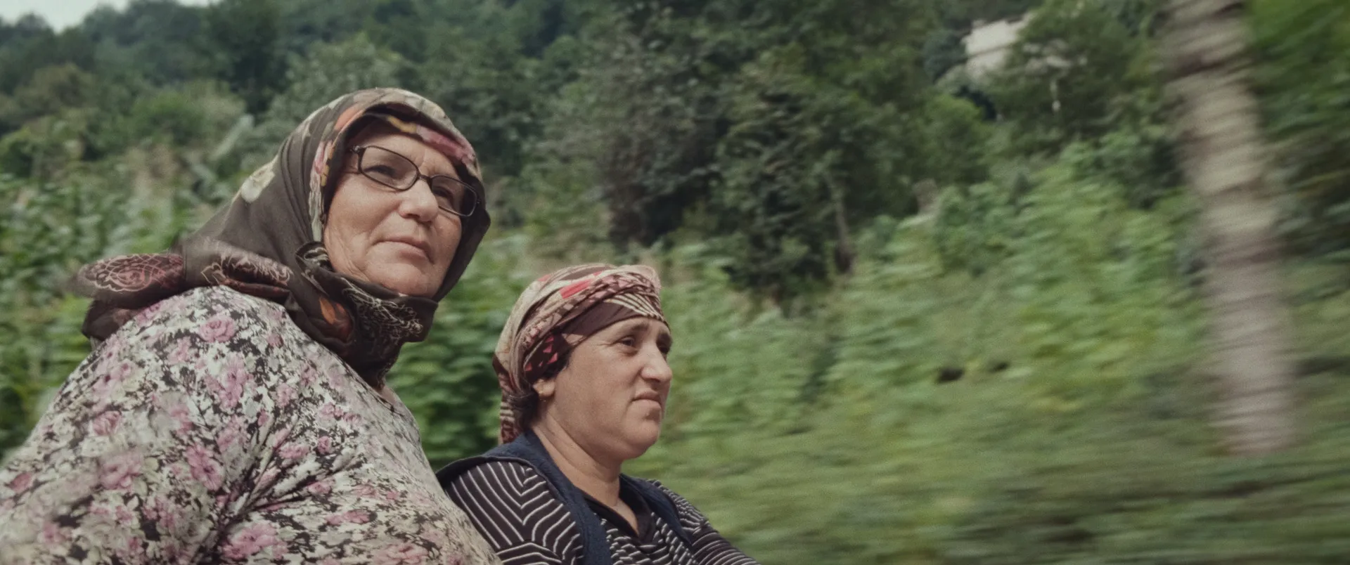Trabzon film festivalinde yarışan Berona belgesel kısa filminden bir sahne