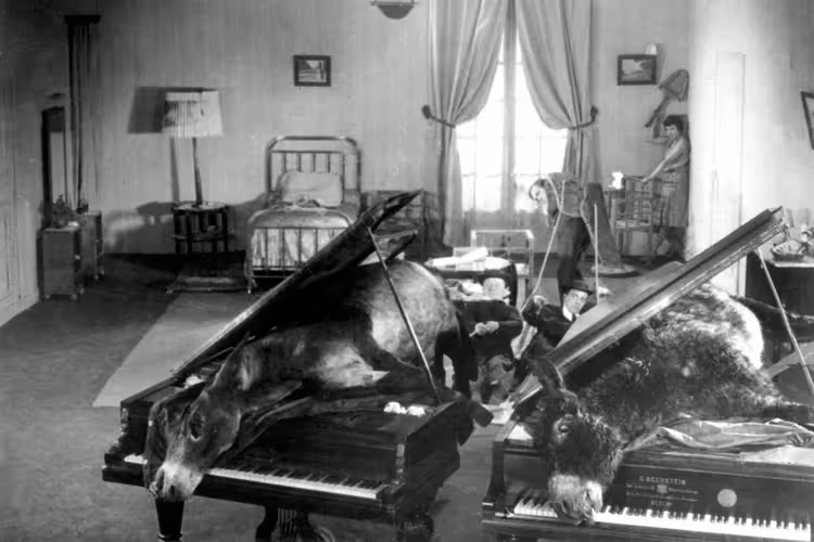 Bir Endülüs Köpeği filminde eşek leşleriyle dolu piyano sahnesi ve sürrealist eleştiri, IMDb