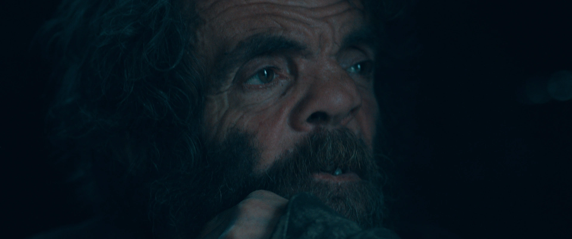 Keçi 501: Doğanın Kayıtsızlığı ve Sessiz Tanıklık