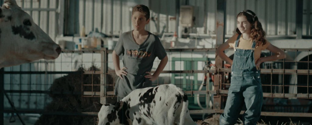 İrem ve Halid süt çiftliğinde ineklerin yanında olduğu çocukların eğlendiği bir sahne